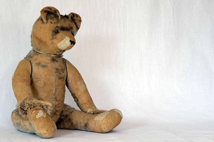 teddy
